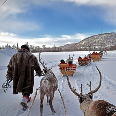 Go reindeer sledding in Norway